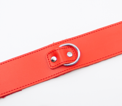 Love in Leather - Faux Leather Collar & Lead with Fur Lining - Red