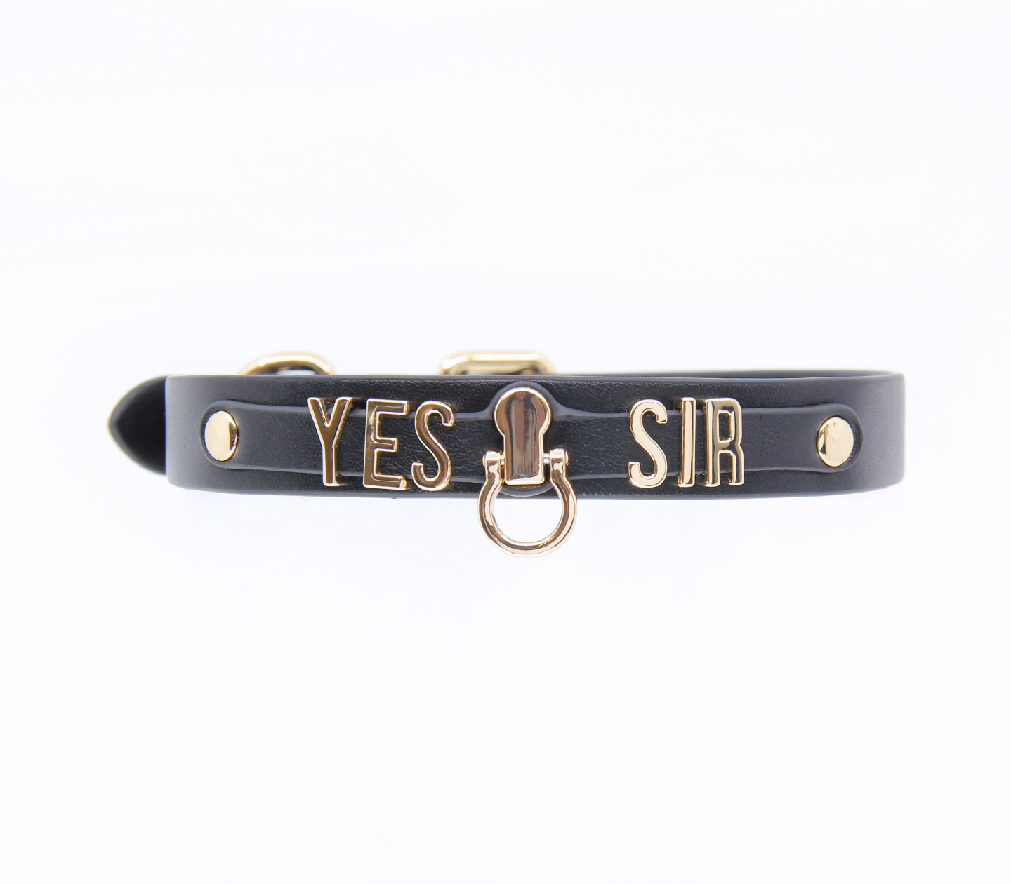 Love In Leather - 'Yes Sir' Collar - Gold