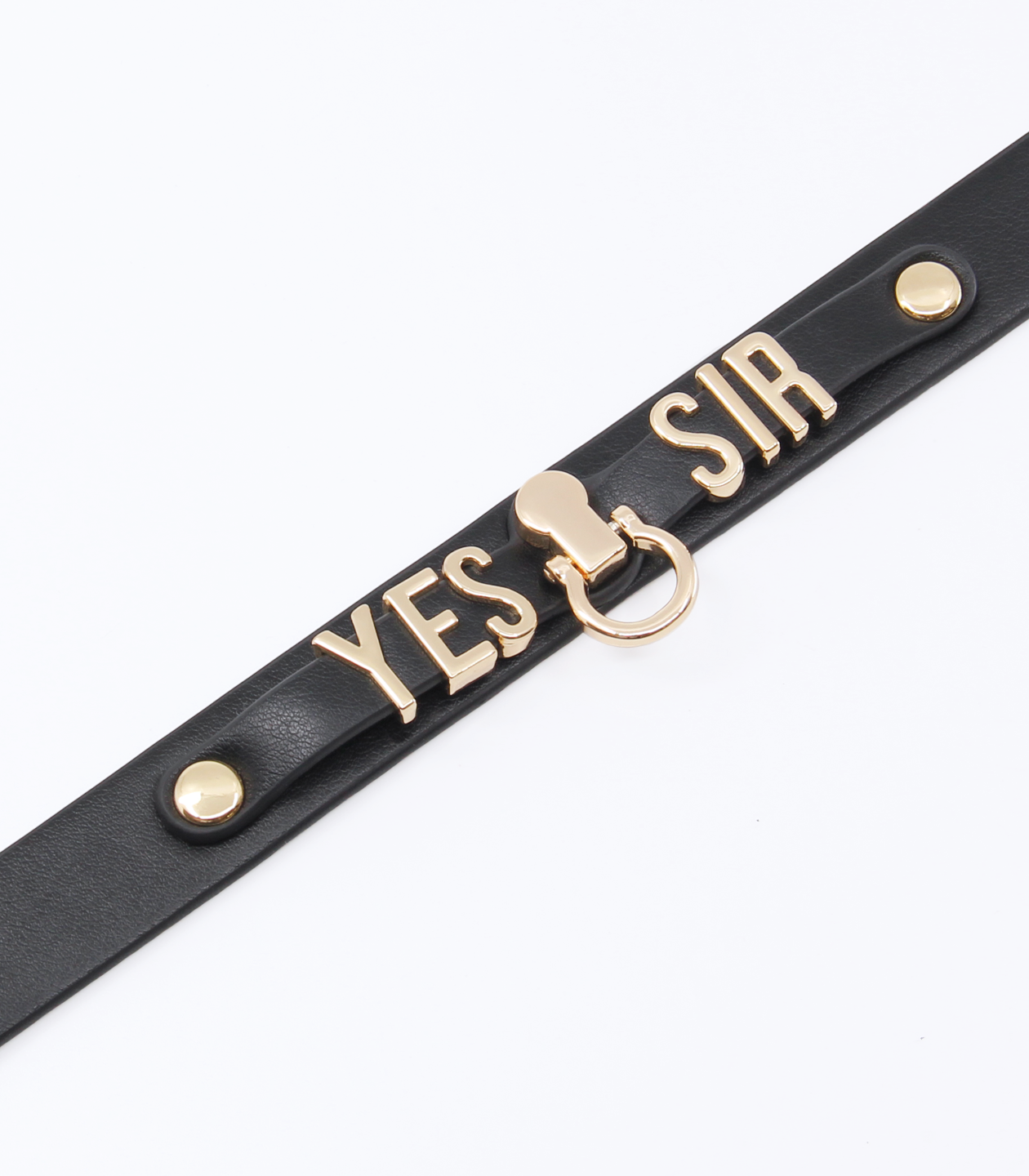 Love In Leather - 'Yes Sir' Collar - Gold