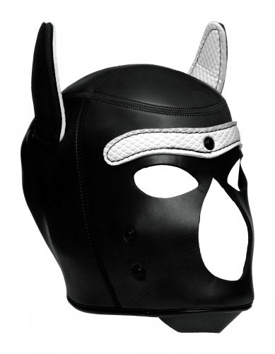 Spike Neoprene Puppy Hood