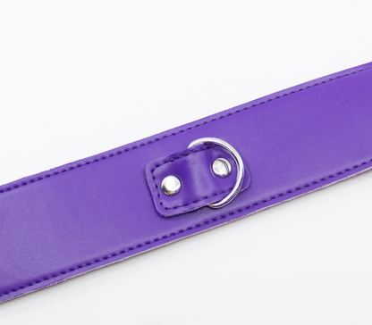 Love in Leather - Faux Leather Collar & Lead with Fur Lining - Purple