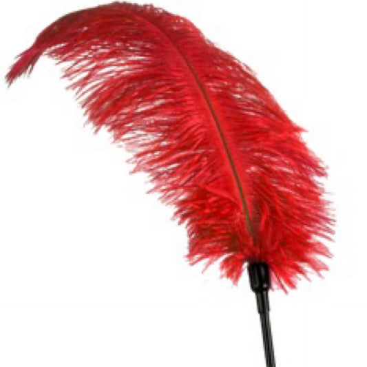 Fetish Feather Stick Whip - Red